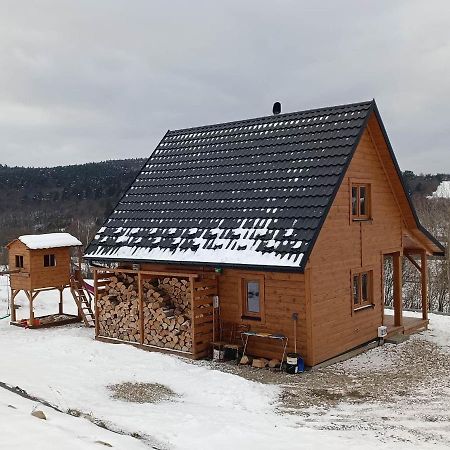 Domek W Swiatkowej Krempna Zewnętrze zdjęcie